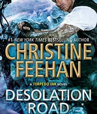 Desolation Road by Christine Feehan