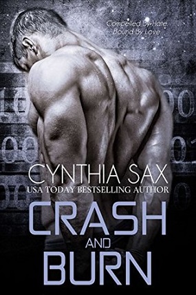Cover for Crash and Burn by Cynthia Sax