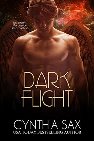Cover for Dark Flight by Cynthia Sax