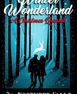 Cover for Winter Wonderland by Fiona Roarke, Kira Nyte, Larissa Emerald, and Candace Colt