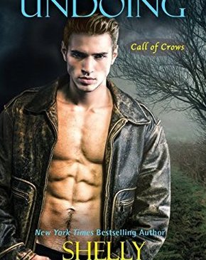 Cover for The Undoing by Shelly Laurenston