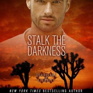 Cover for Stalk the Darkness by Alexandra Ivy