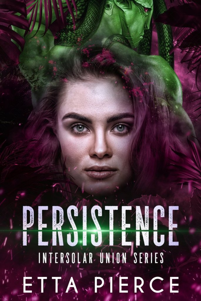 Cover for Persistence by Etta Pierce