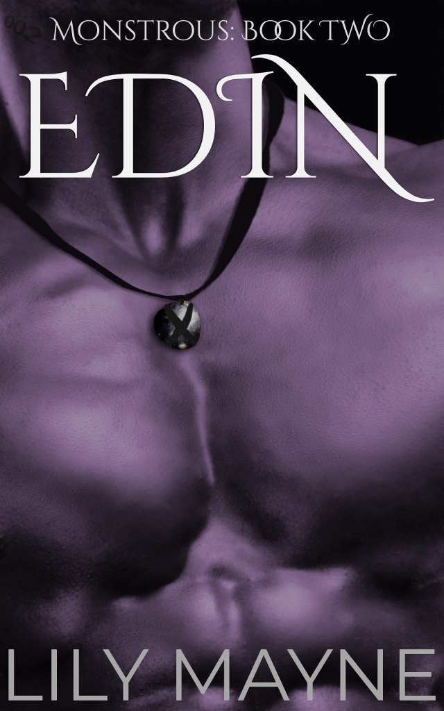 Cover for Edin by Lily Mayne